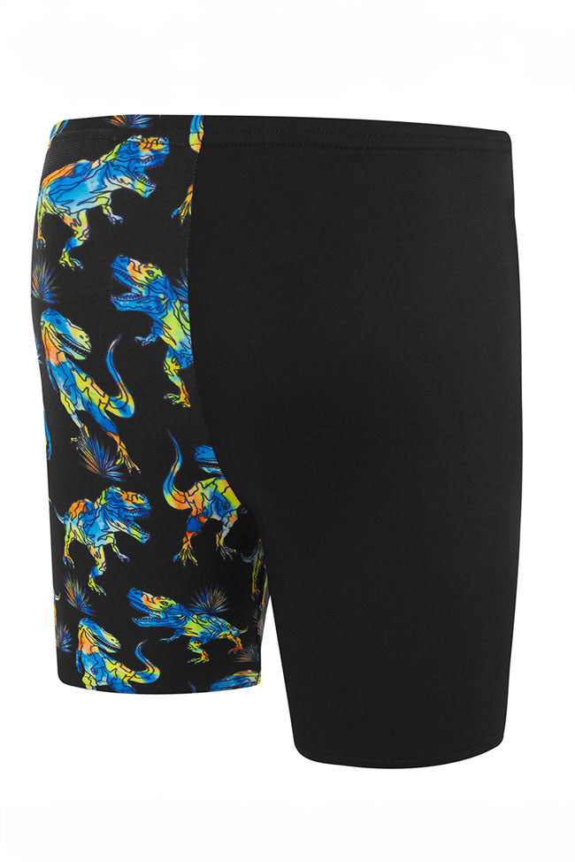 Speedo Toddler Boys Endurance+ Black/Multi Dino Jammer