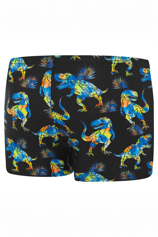 Speedo Toddler Boys Endurance+ Black/ Multi Dino Aquashort