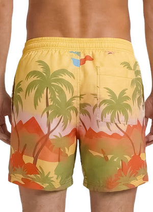 Maaji Sailor Shorts - Palm Horizon image 6