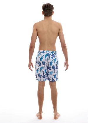 The Rocks Push Blueys Shorts - Whale Sharks