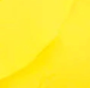 Salty Ink Ladies Slide Triangle Top - Salty