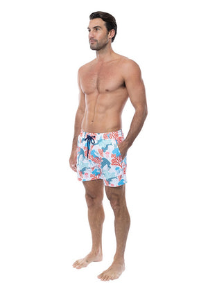 The Rocks Push Balmoral Mens Shorts - Hammerhead Shark