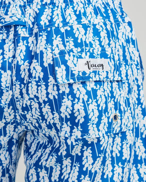 Vacay Swimwear Mens Boardshorts - Tahiti