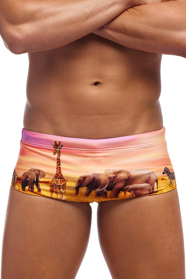 Funky Trunks Mens Sidewinder Trunks - Circle of Life