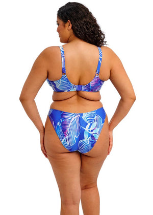 Elomi High Leg Bikini Brief - Maluku Island