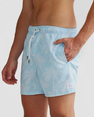 ORTC Mens Boardshorts - Palm Cove