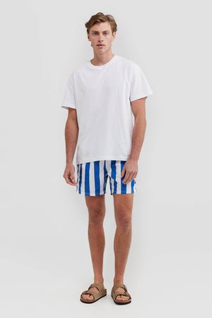 ORTC Mens Boardshorts - Portsea