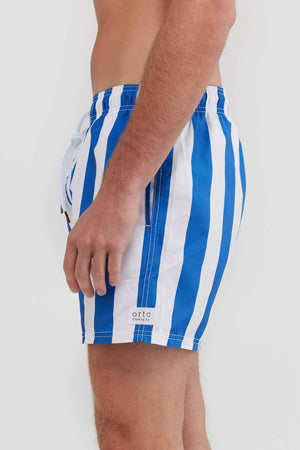 ORTC Mens Boardshorts - Portsea