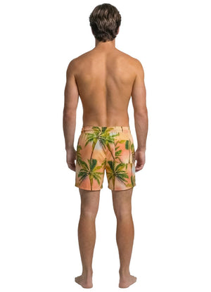 Maaji Sailor Shorts - Wild Coast image 2