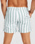 Vacay Swimwear Mens Boardshorts - Naxos