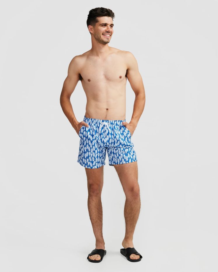 Vacay Swimwear Mens Boardshorts - Tahiti