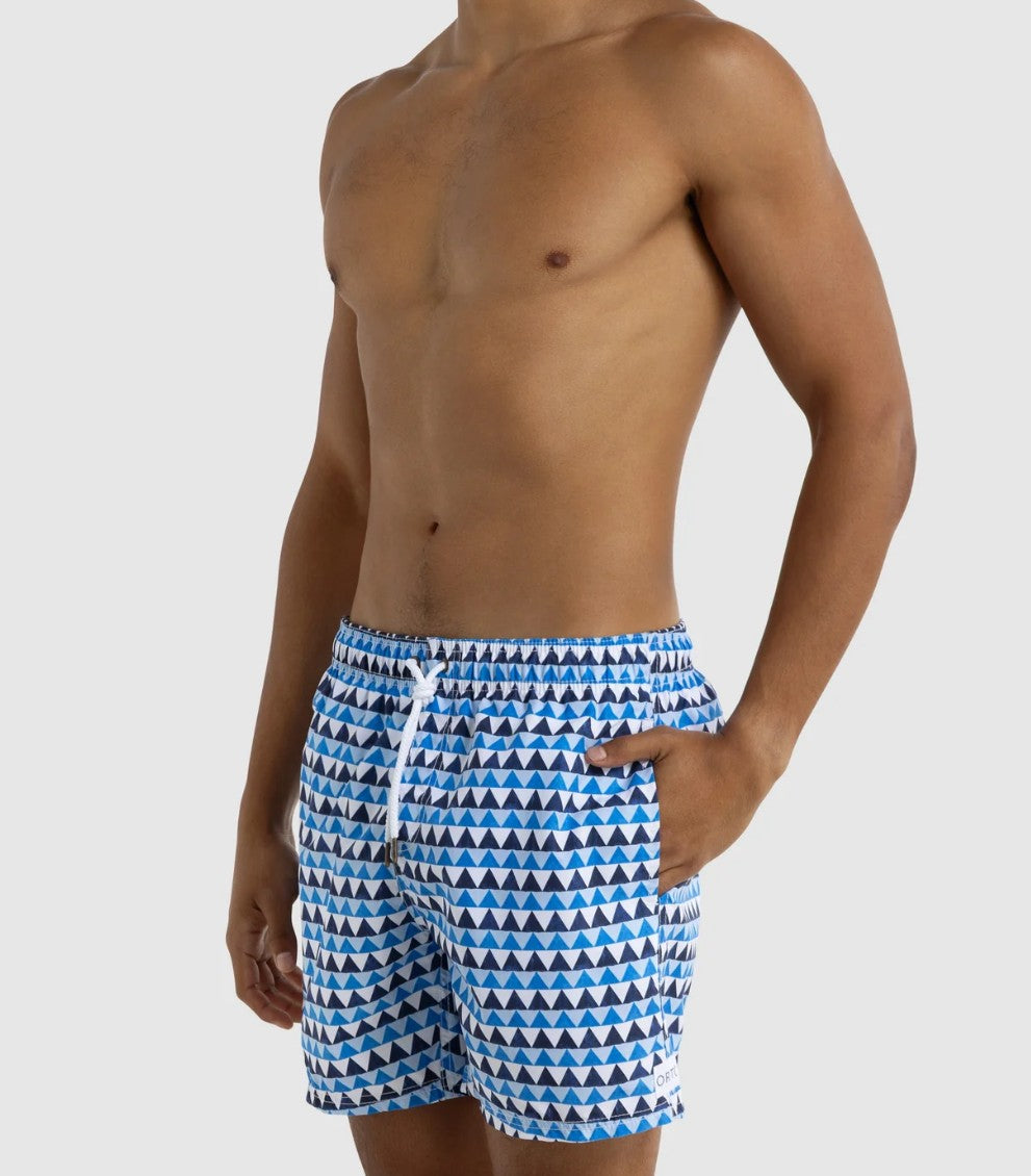 ORTC Mens Boardshorts - Apollo